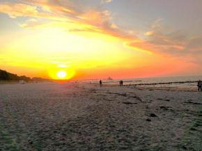 Geräumige Ferienwohnung in Zingst mit Terrasse in Zingst